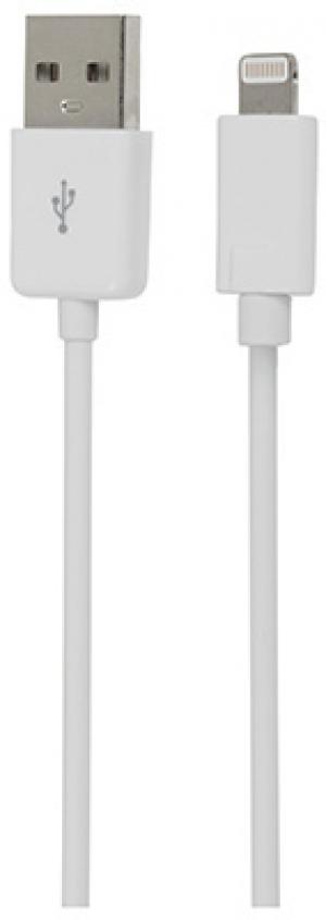 iPhone5 USB Cable