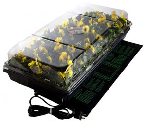Germination Station